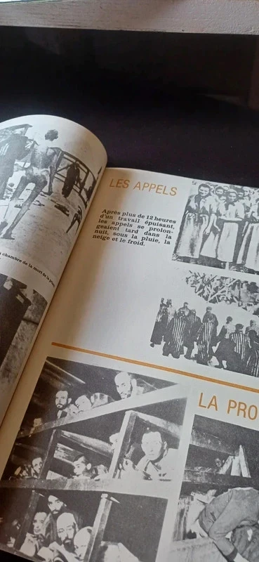 O impossível esquecimento a deportação nos campos nazis – photo 6